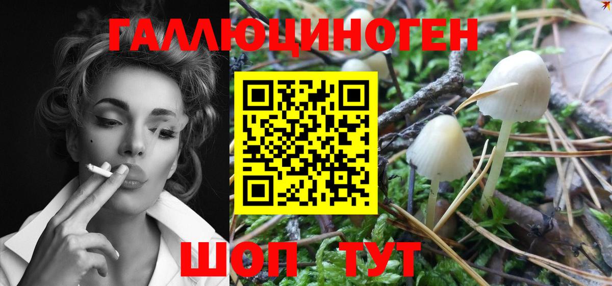 Галлюциногенные грибы ЛСД  Псилоцибиновые грибы GOLDEN TEACHER  Армавир  Вход с VPN 
